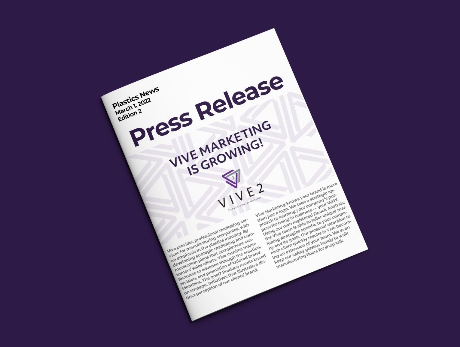 Vive Marketing - Press Release Mockup